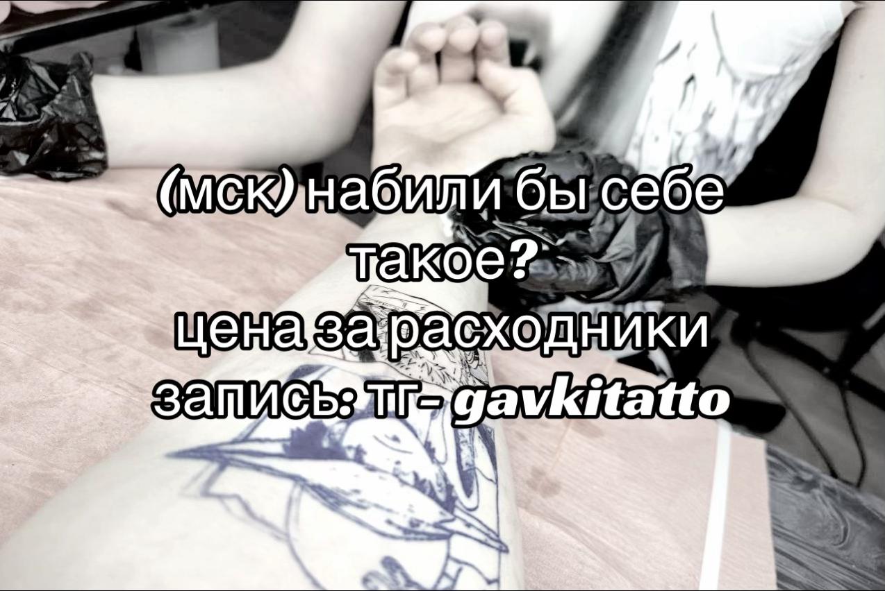@gavki