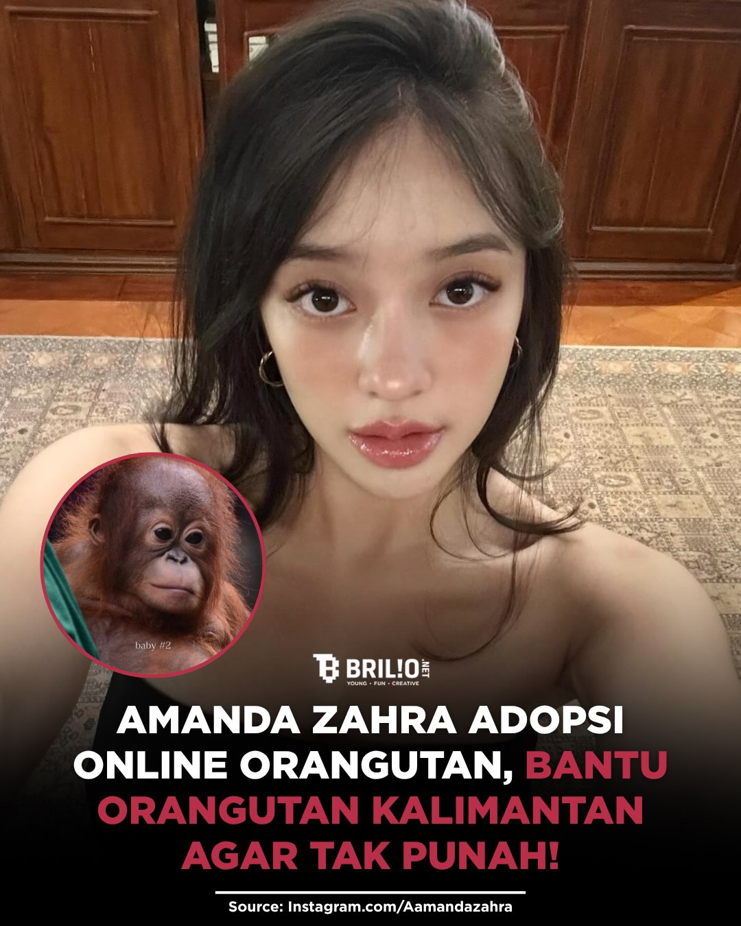 @Brilionet