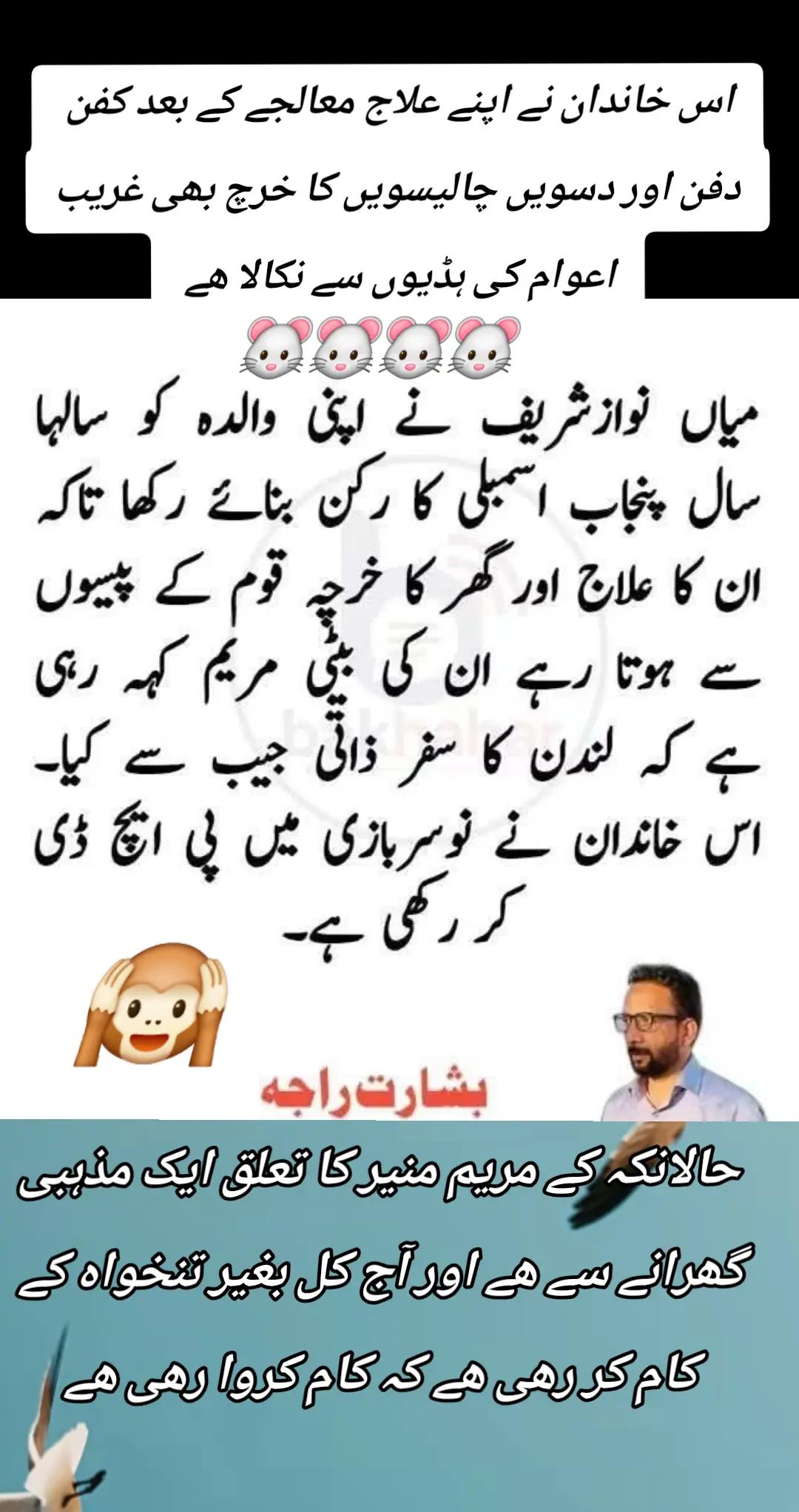 @اڈیالہ 804