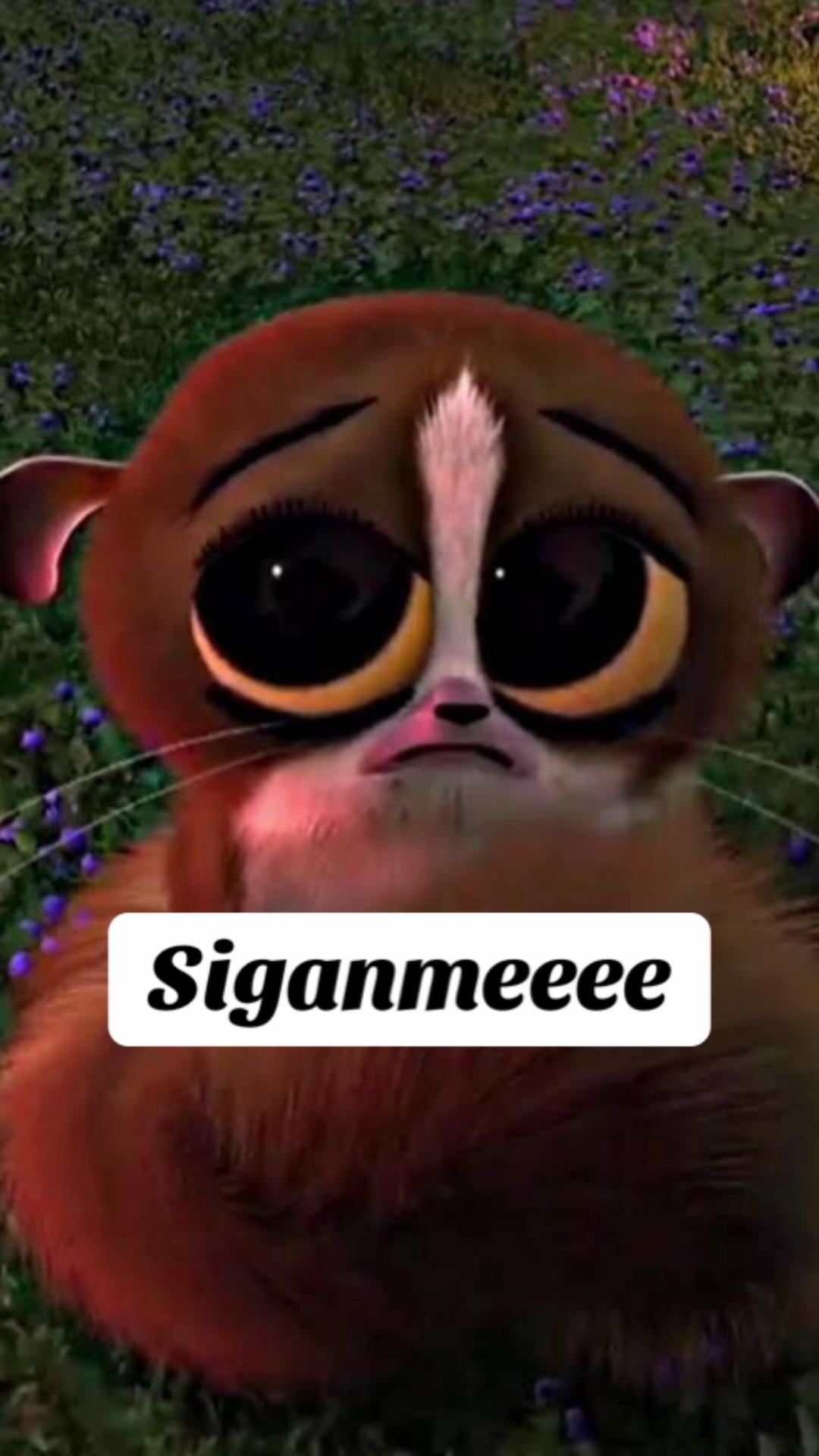 @S💕