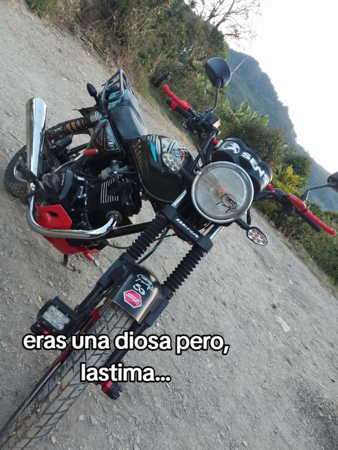 @ꪗꪮᦔꪖ᥅ꪜﺃᦓ ᥅ꪊﺃɀ 00