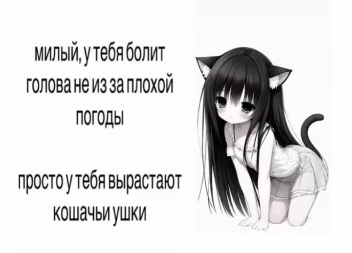@Кефирная свинина catgirl ꧂
