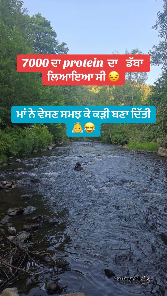 @jindkadh