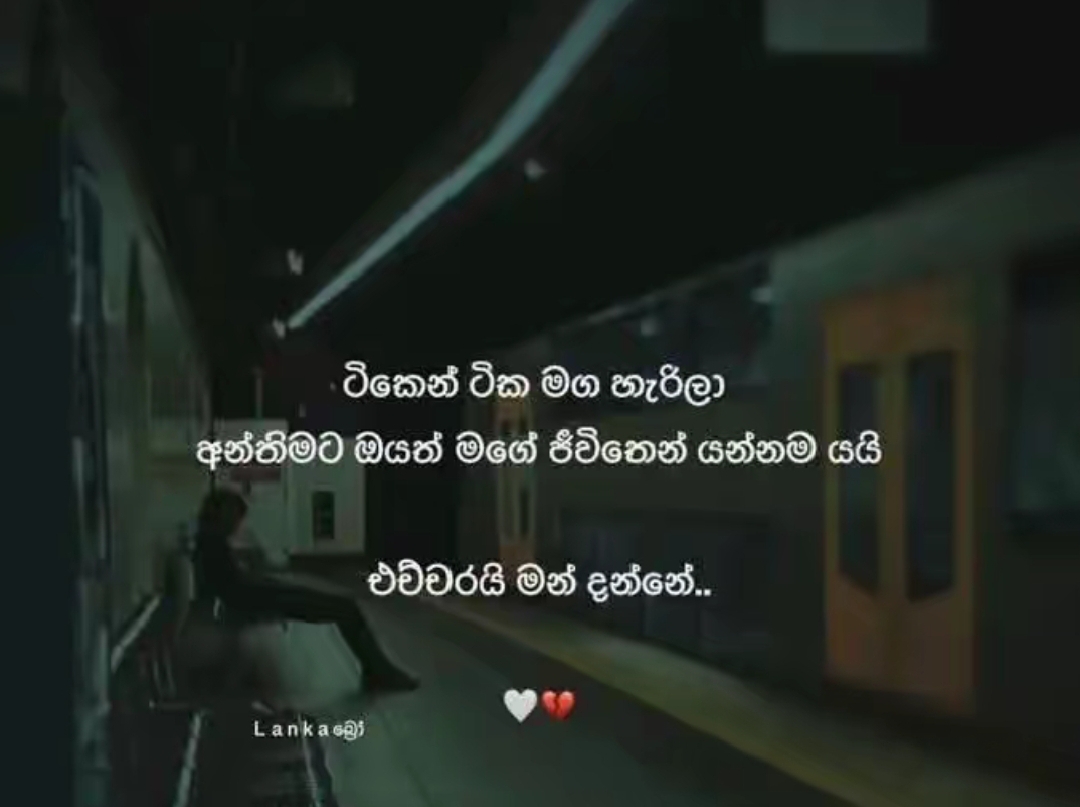 @Dilsha 🧚♱✨🧚