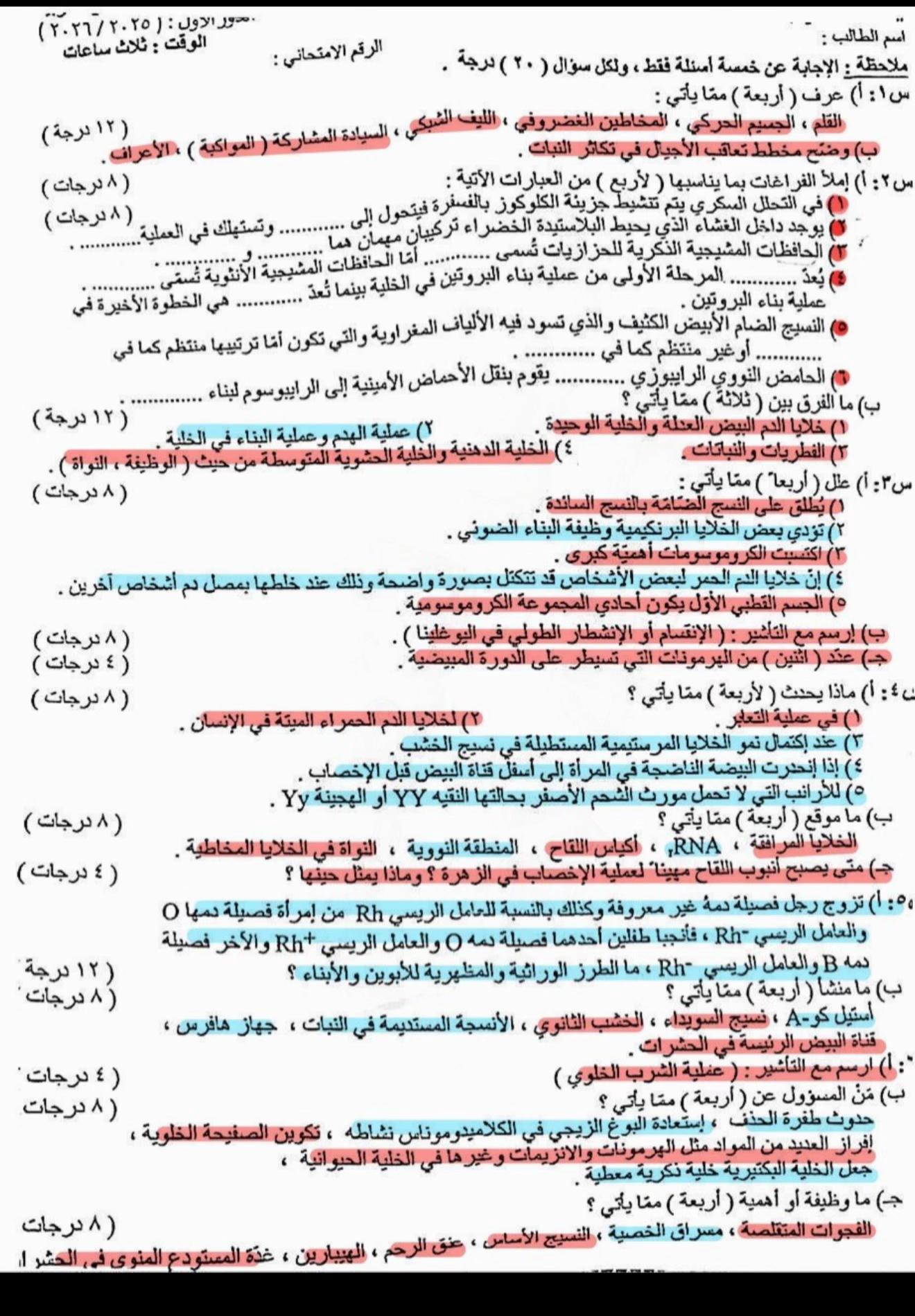 @شوشو و نونو / تعليم وتسليه