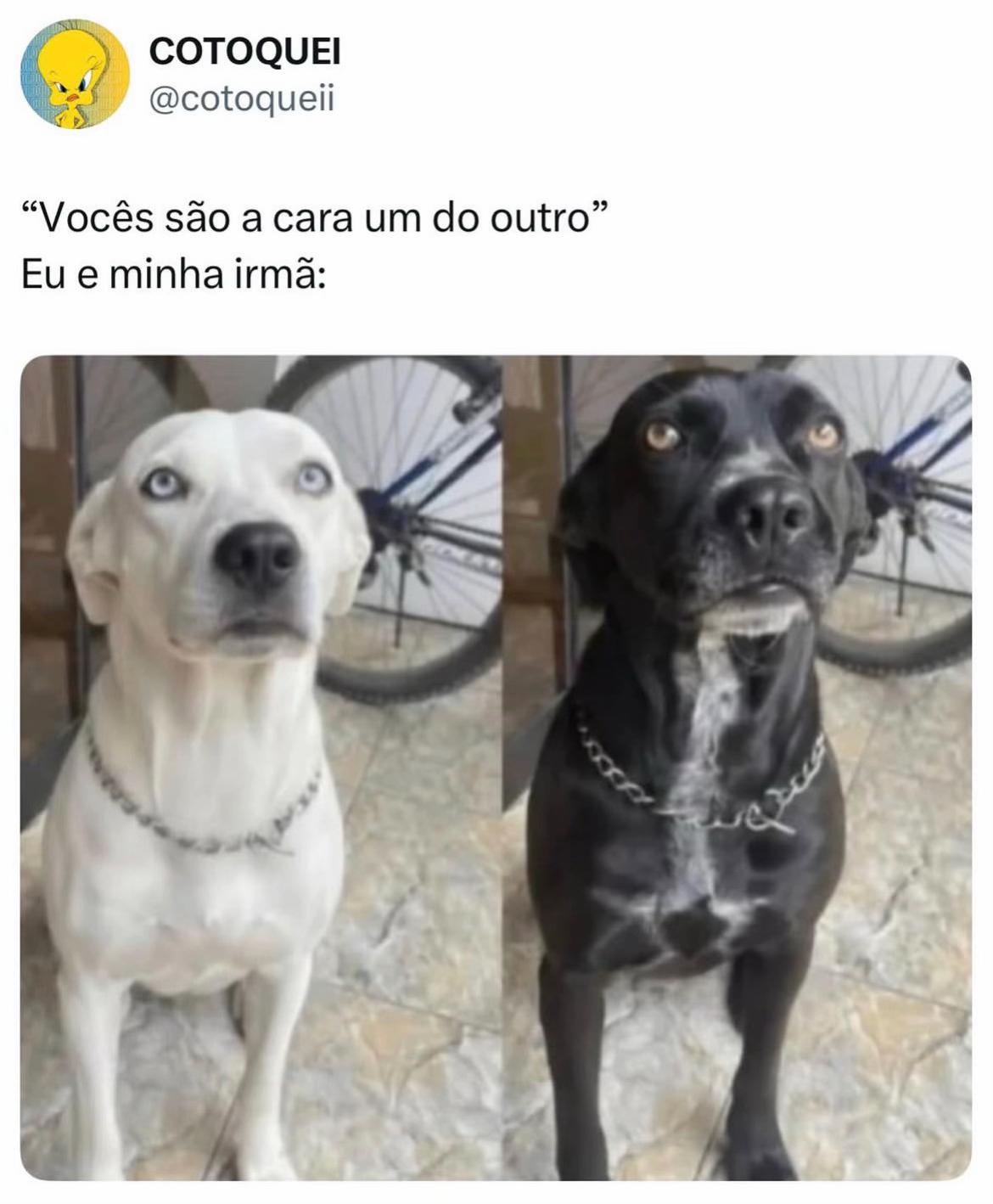 @🥇