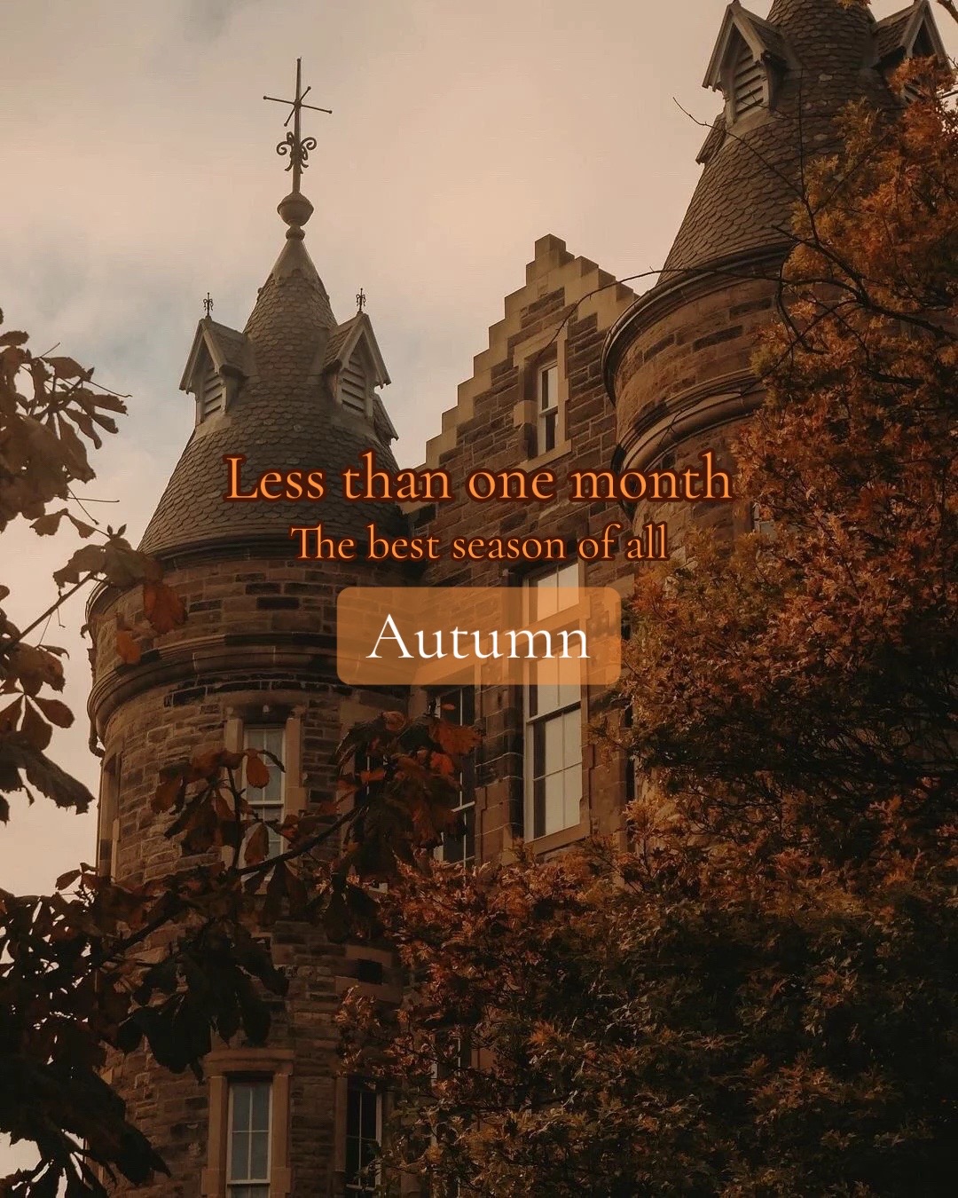 @🍂AUTUMNLOVER🍂