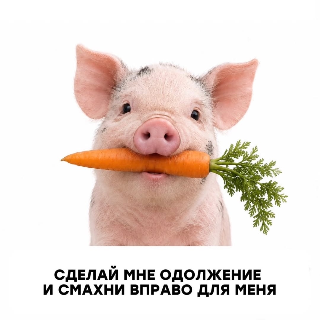 @любительница Audi ❤️