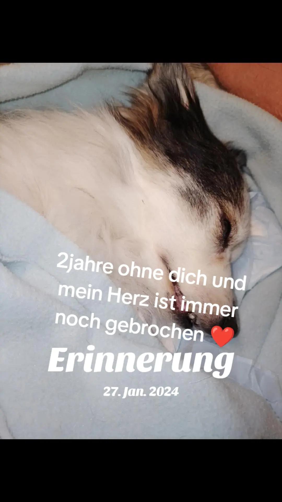 @💀💀DasBöse💀💀