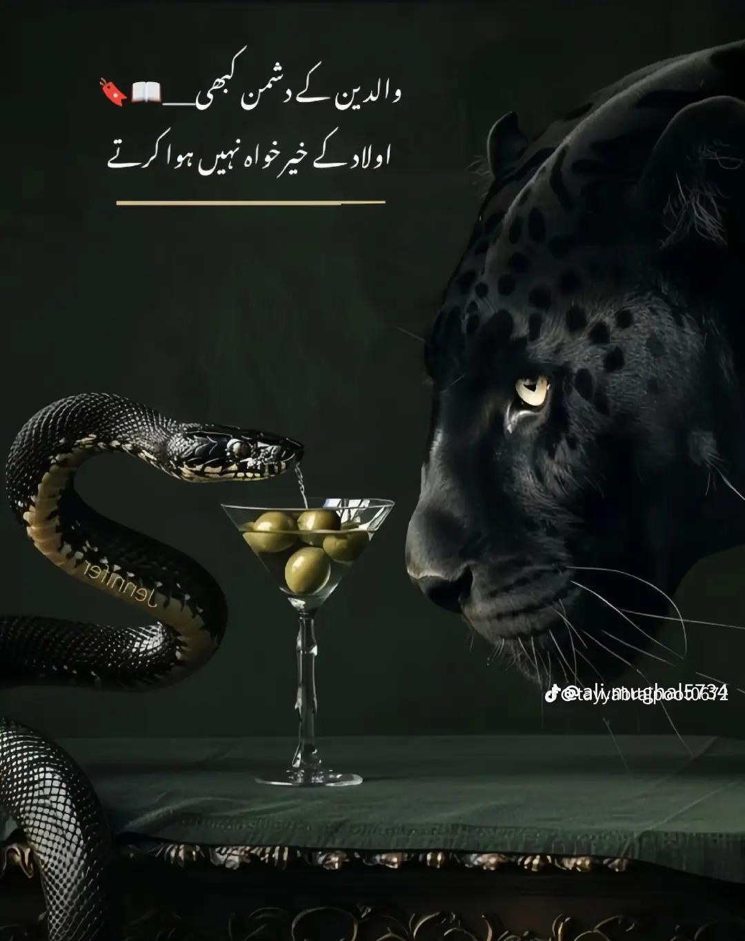 @usmanMalik🖤🥀804