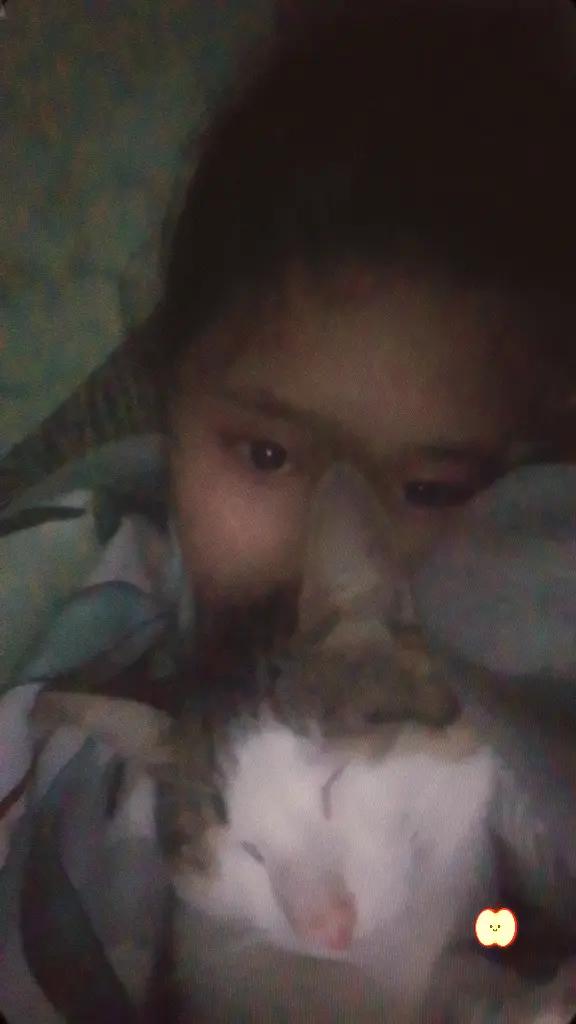@. ๐หเฟ ๐ถ๐๐๐๐ฆ๐ ๐๐หโ