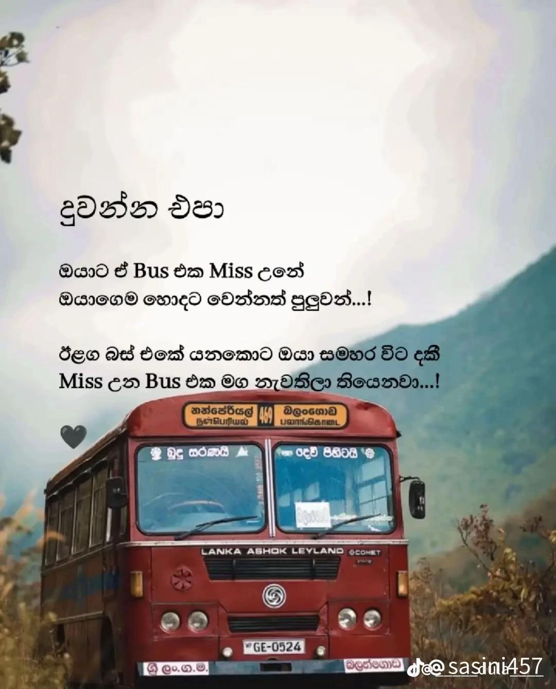 @SHEHARA