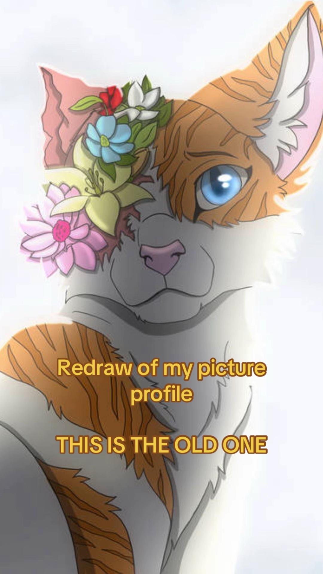 @Cattalents