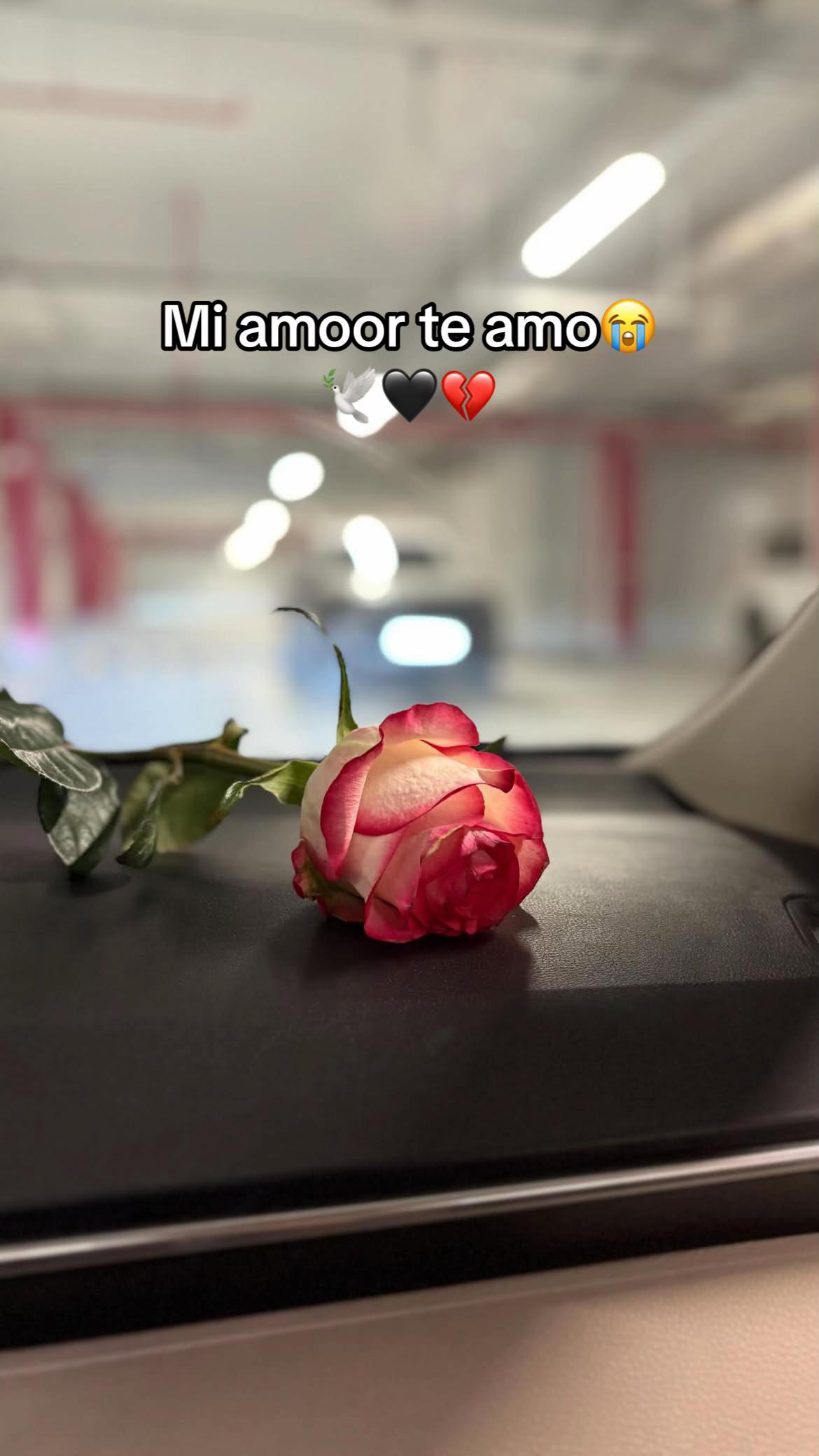 @Liilianga05🧔🏻&zwj;♂️🕊️💔