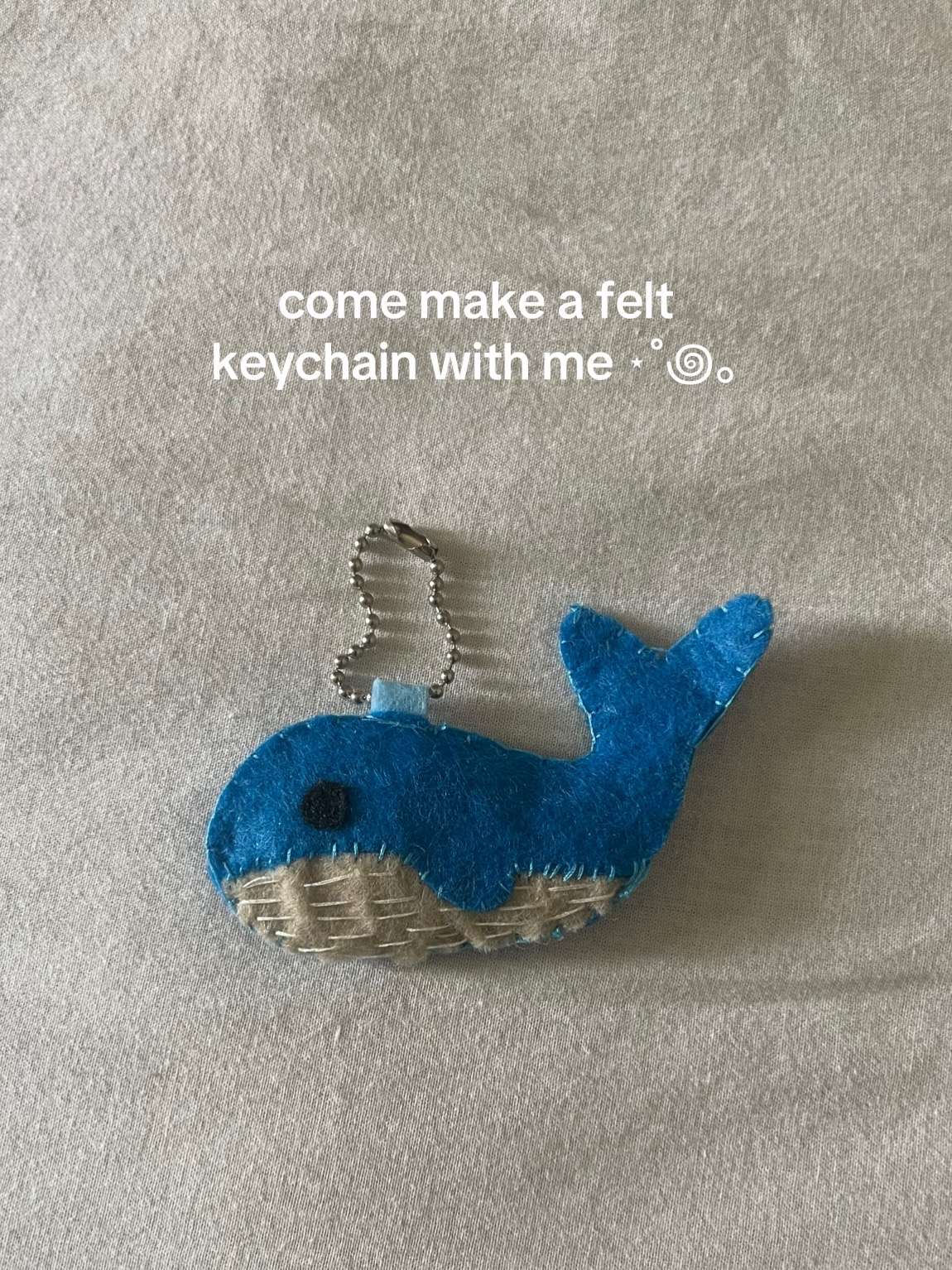@meow ౨ৎ
