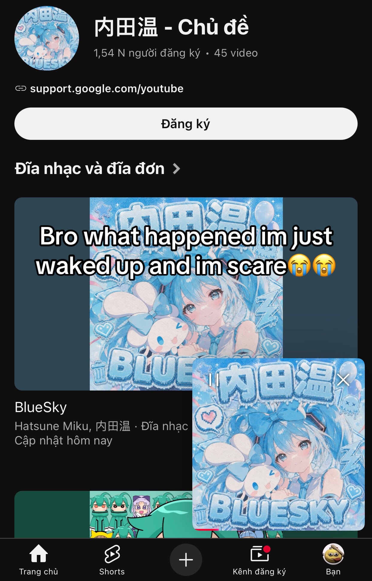 @Yuri
