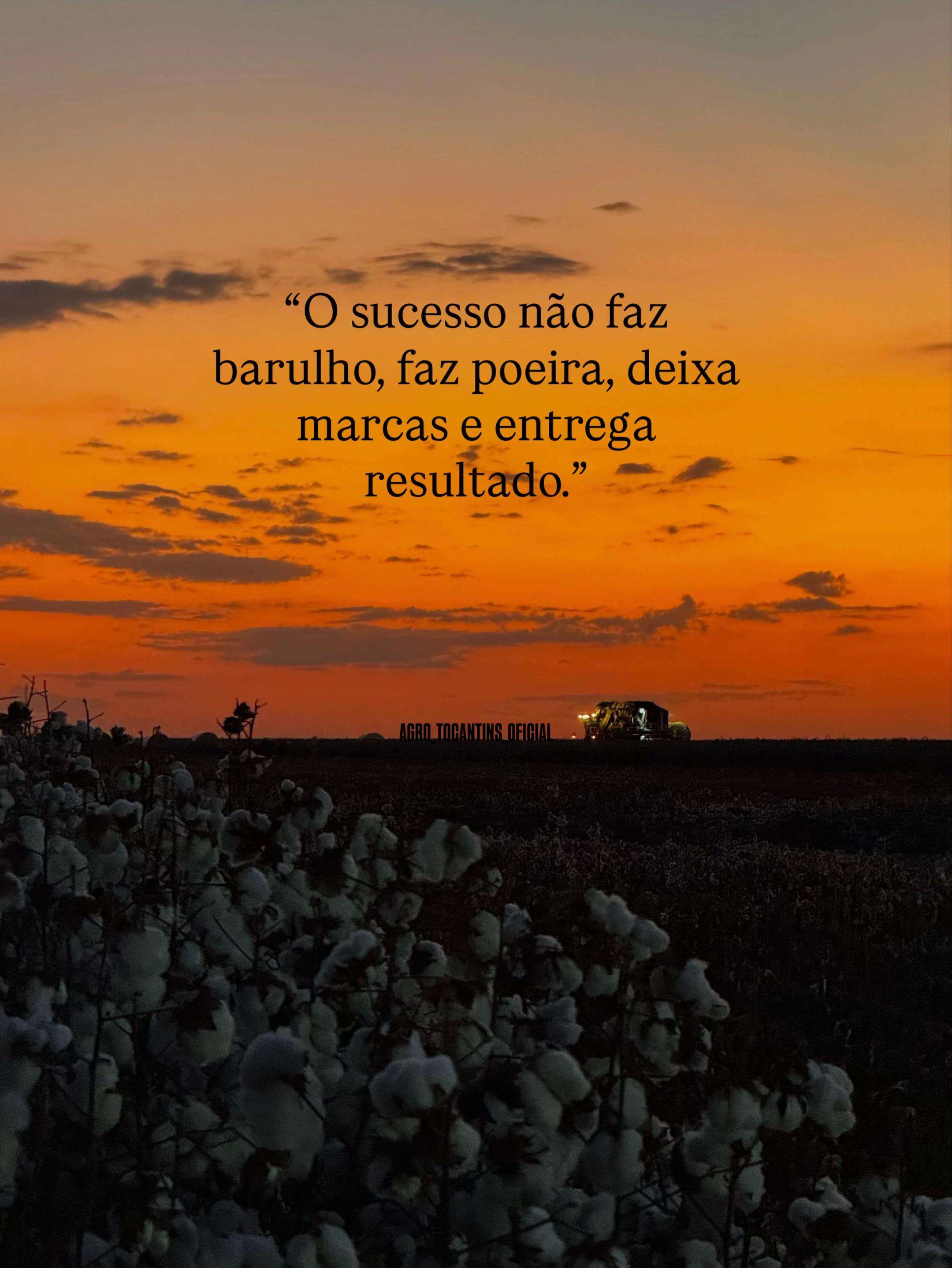 @Agro Tocantins Oficial🇧🇷