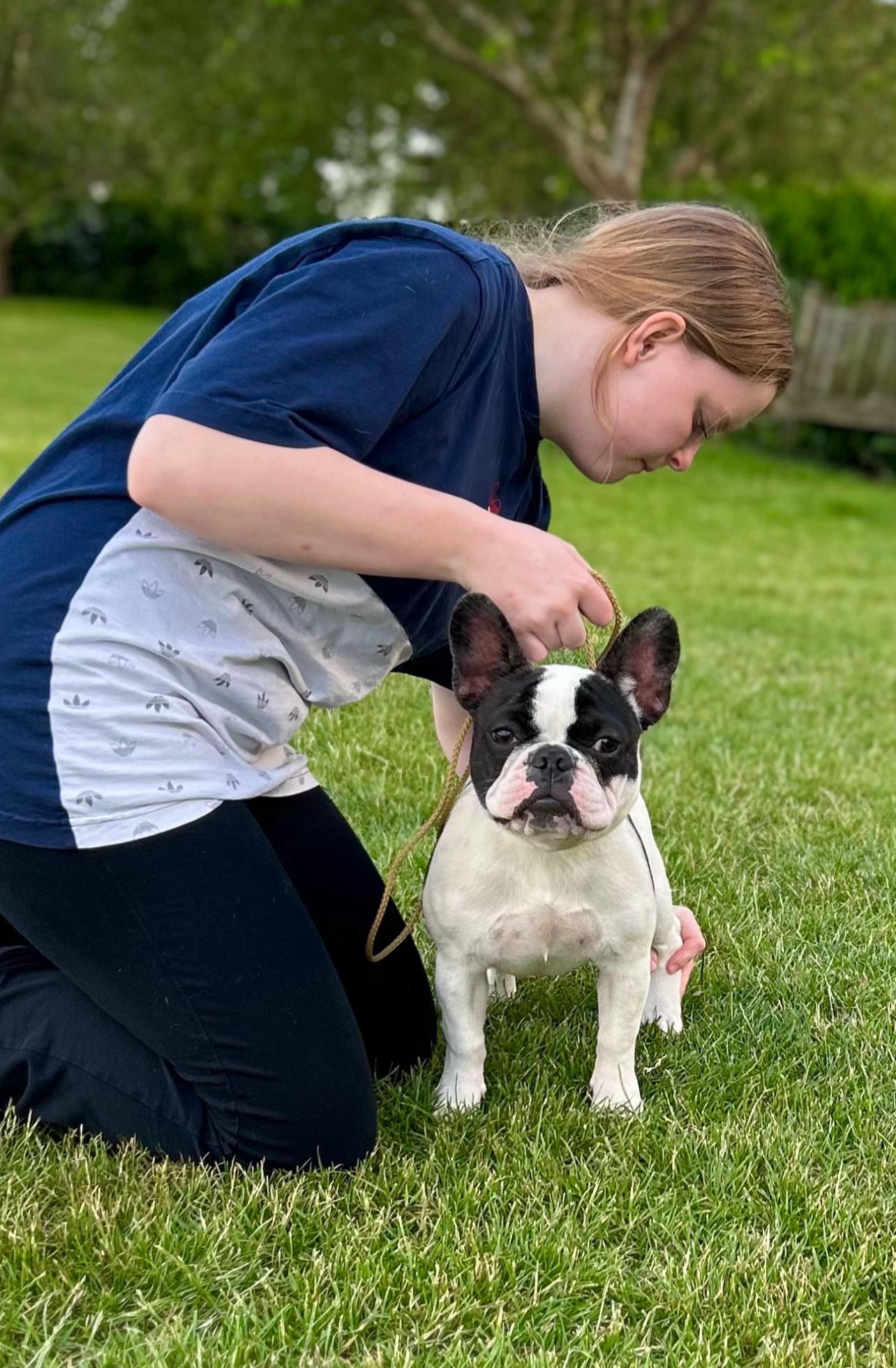 @perfectibull_uk