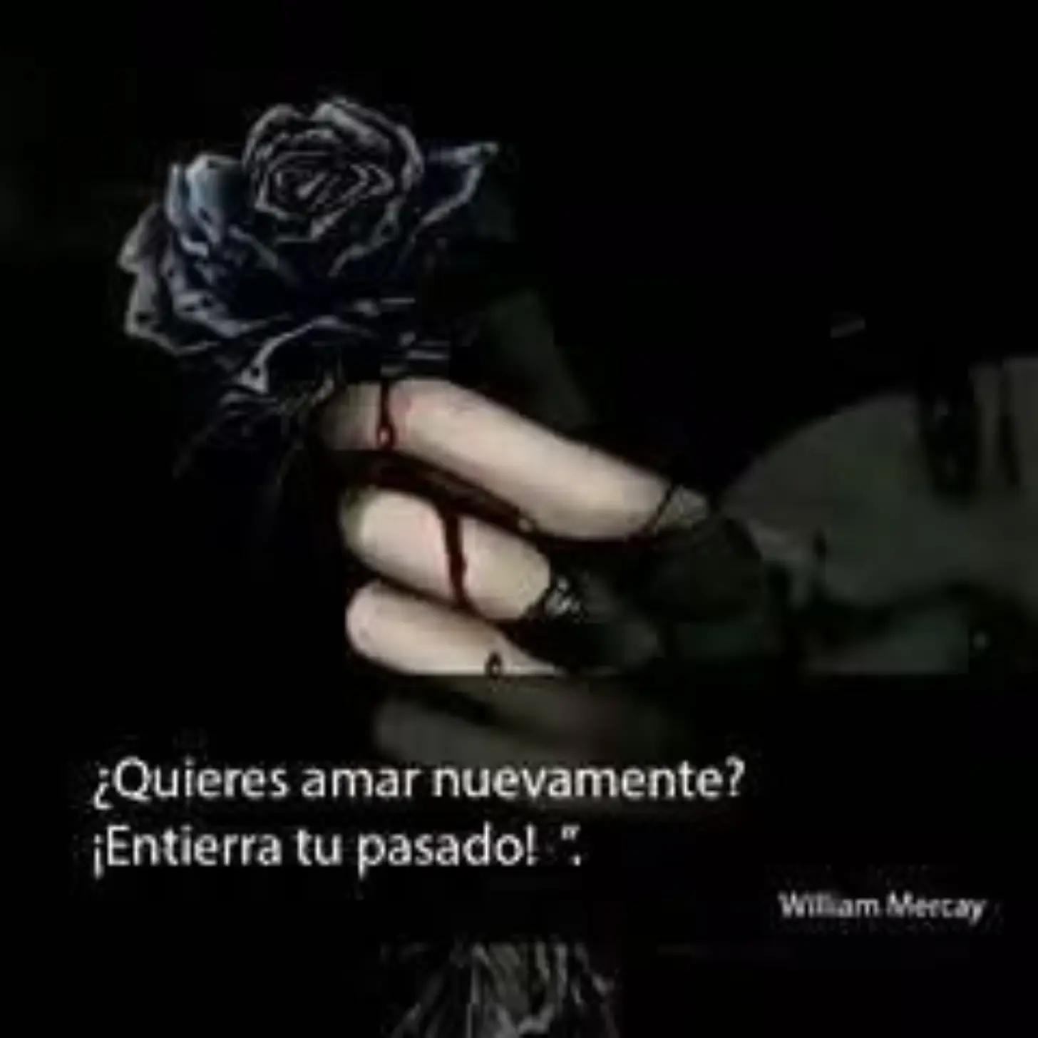 @Carolina Rossetti