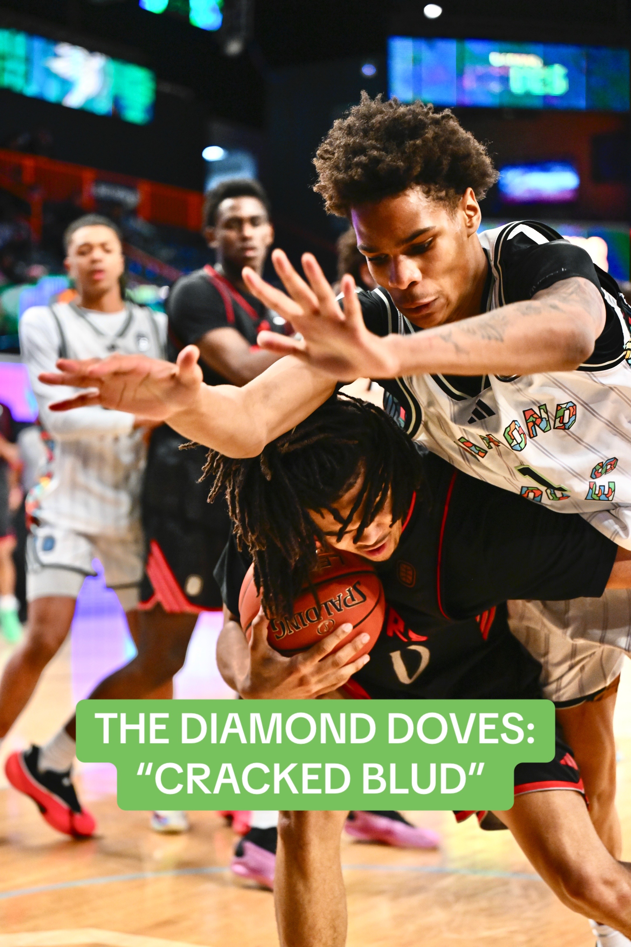 @Diamond Doves