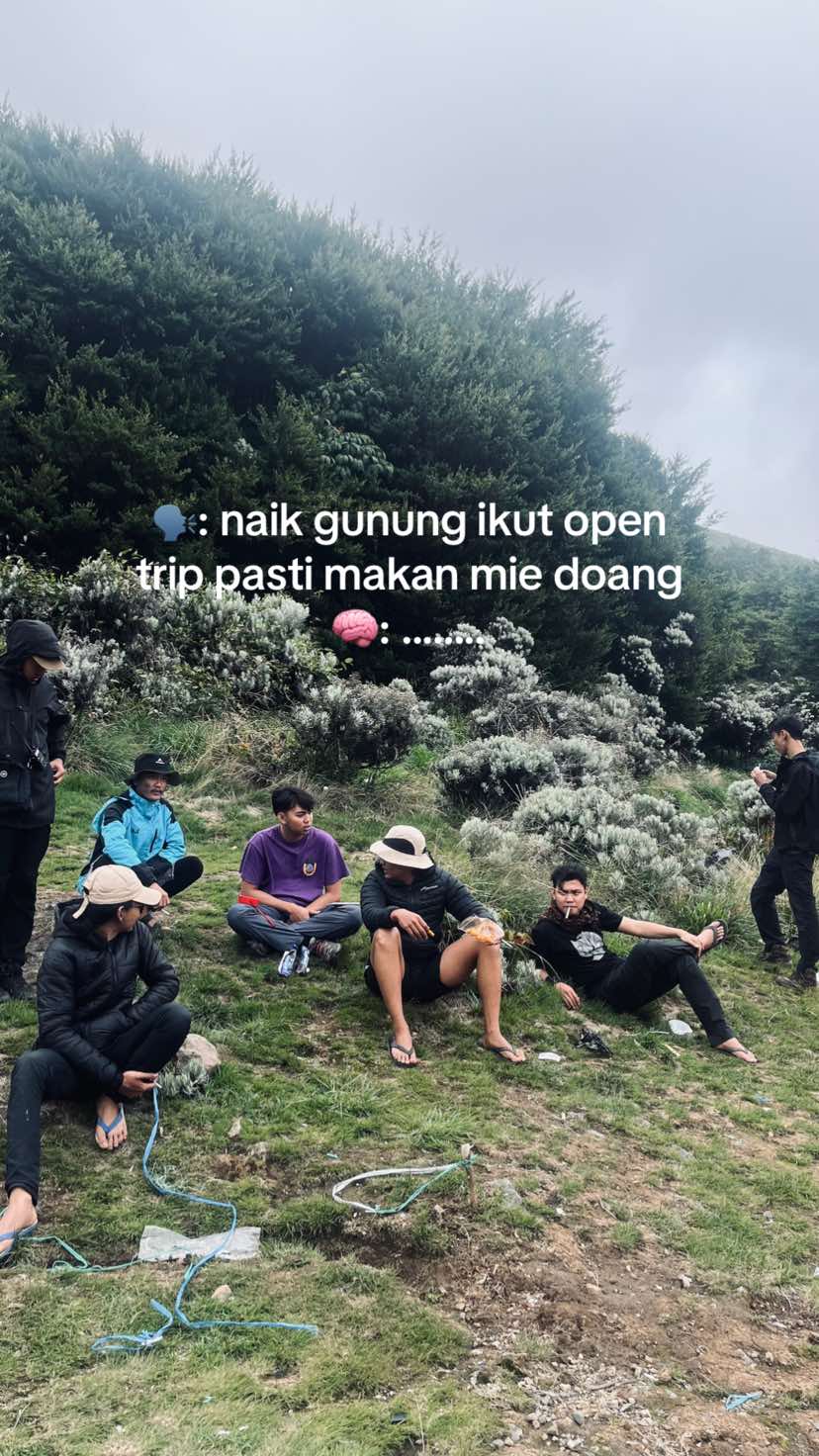 @sxxxl