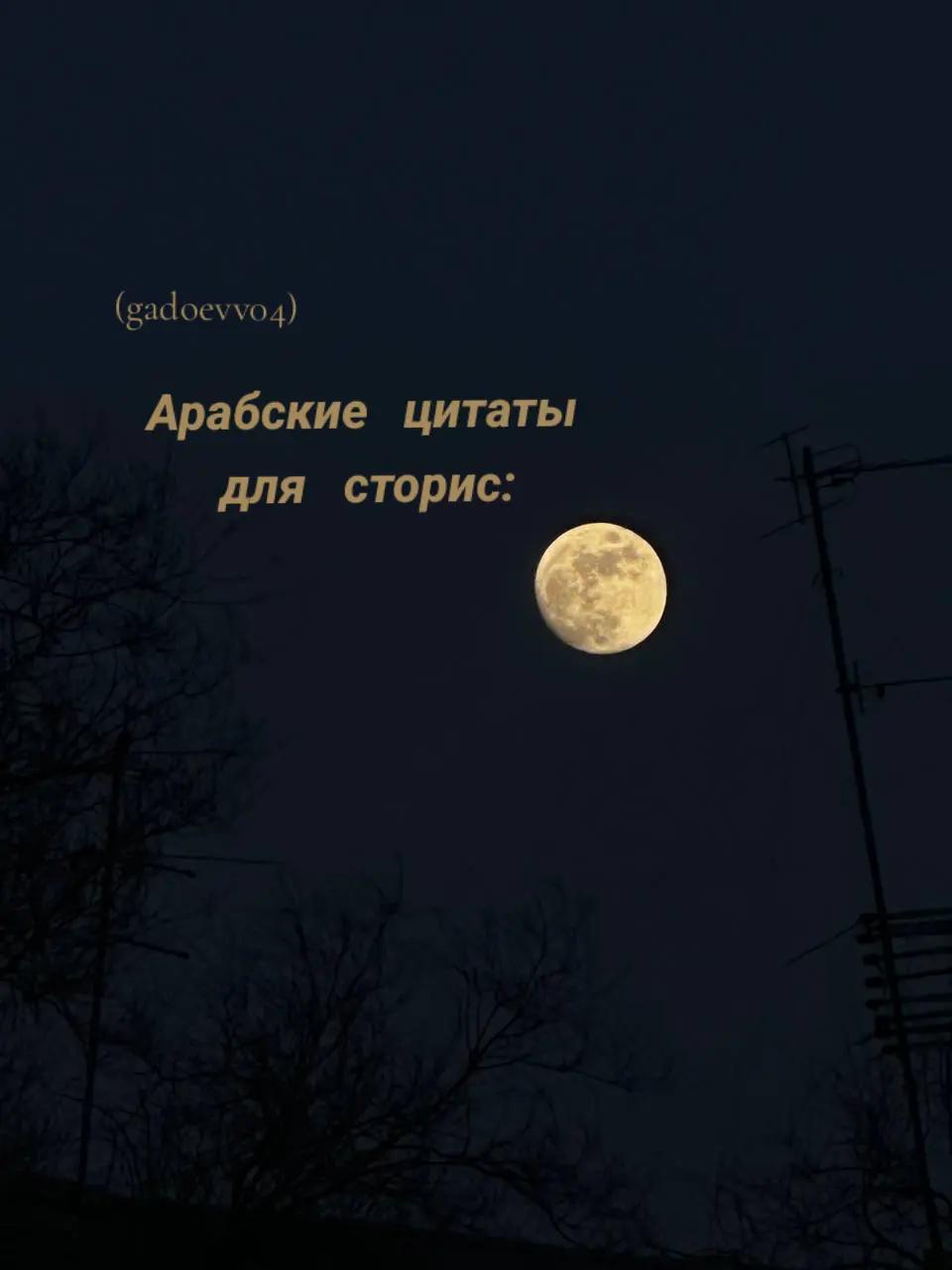 @ɢᴀᴅᴏᴇᴠ.