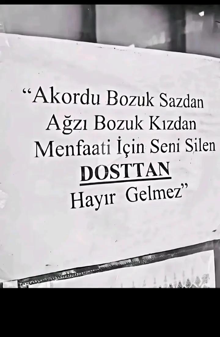 @denizpinar
