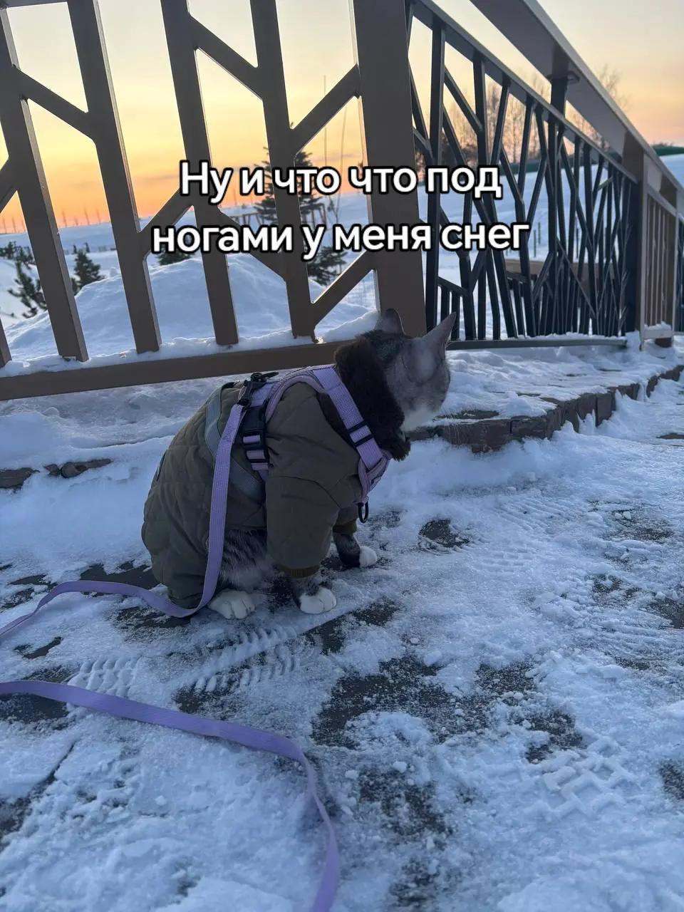 @🩸маньячка🩸