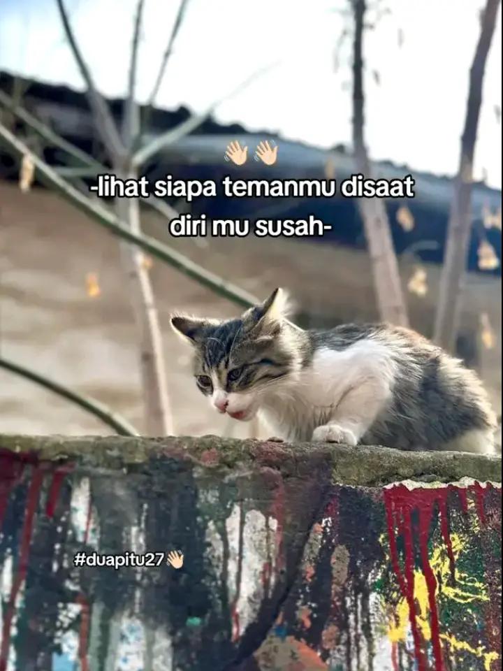 @itsmedwiy