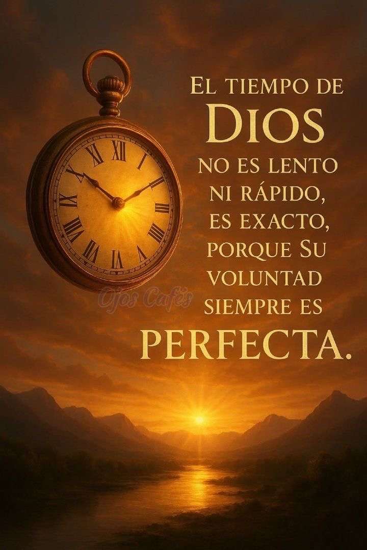 @elvirasvg