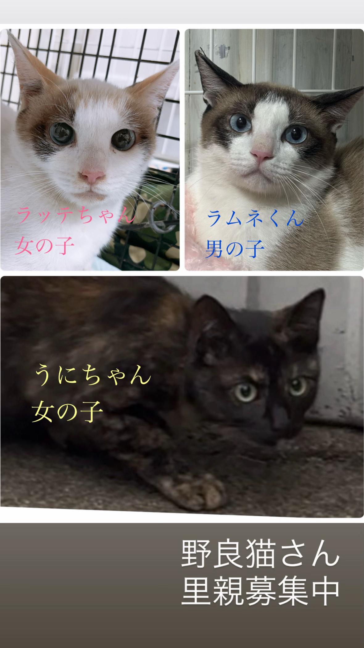 @そぉーちゃん🍷🐈soochan