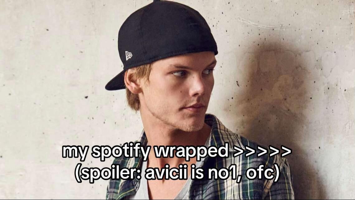 @avicii fan