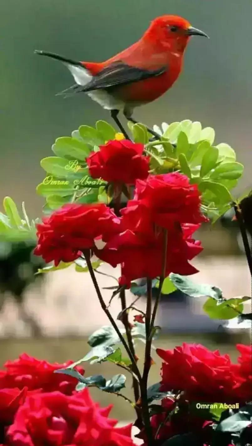 @Bindeswar Teli Sah