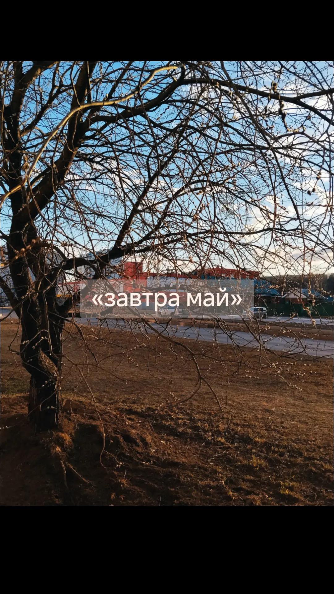 @вилька