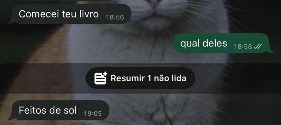 @fernanda nocce