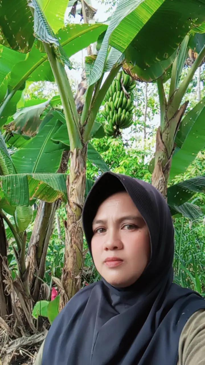 @Mmh Cila