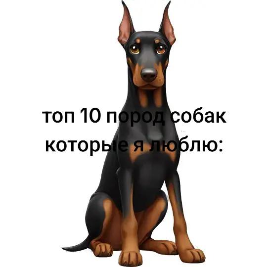 @🐾доберман бруно🐾