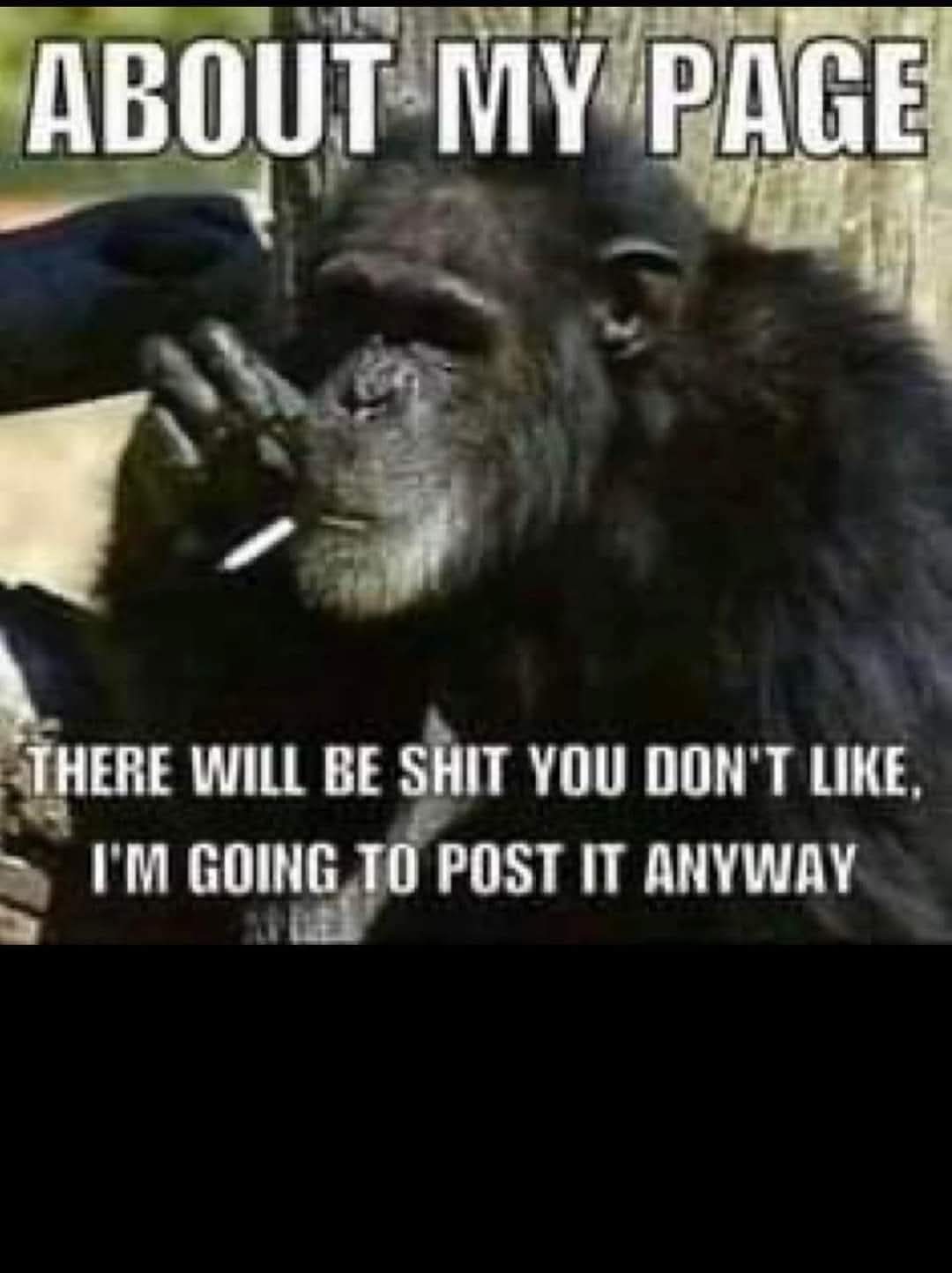 @Markiss Tody