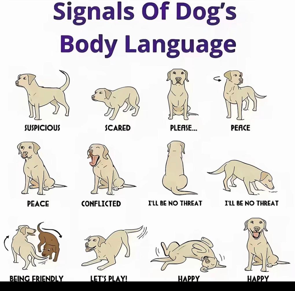 @ẞřøøķẽ