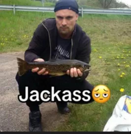 @Leo Österman