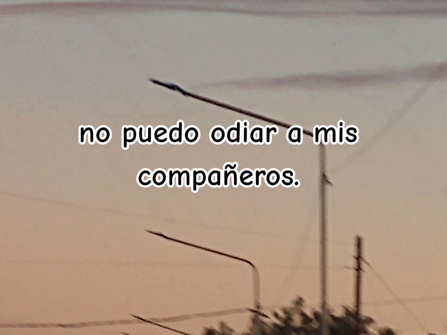 @👾 xlolszp😼👍