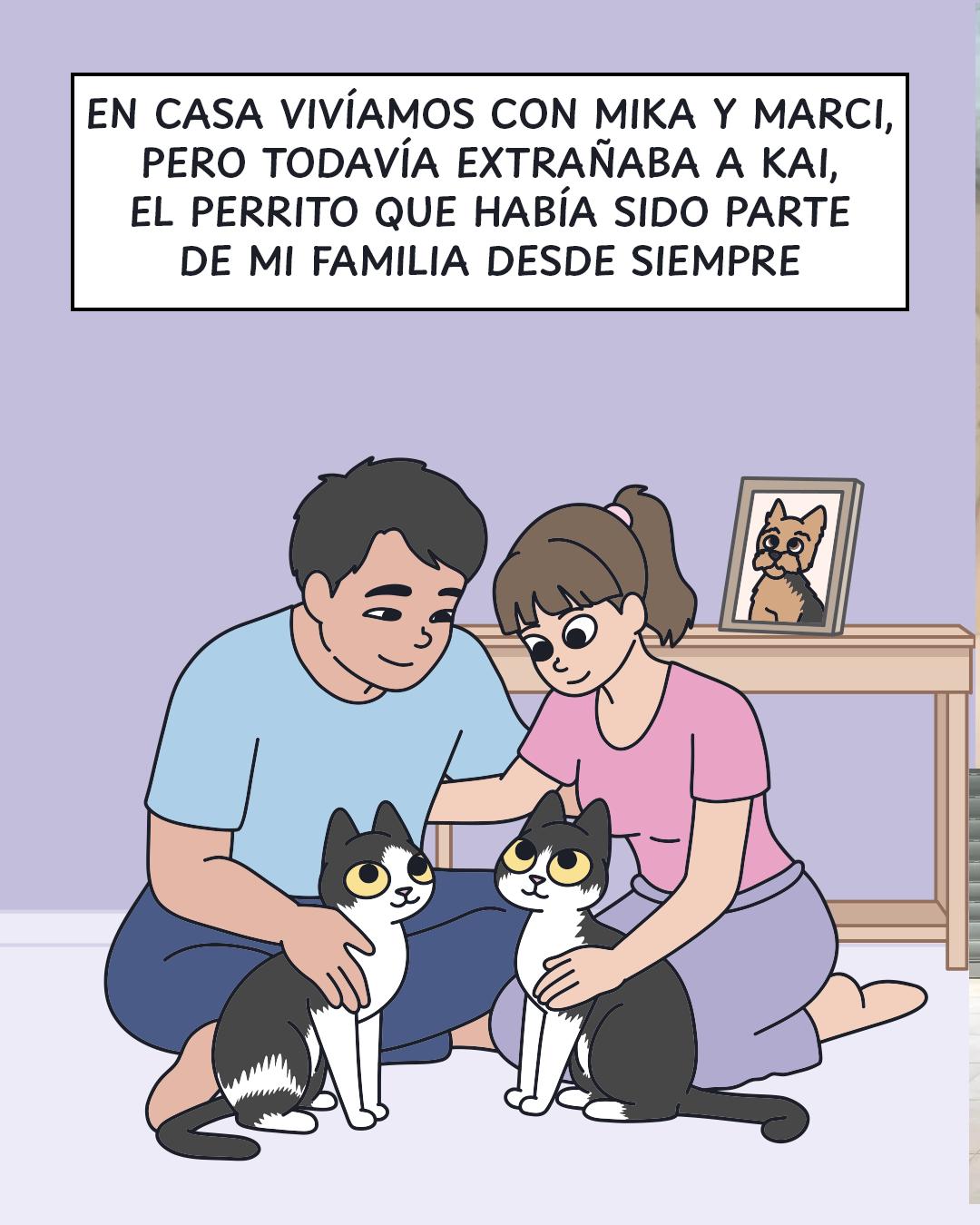 @Cosa de gatos
