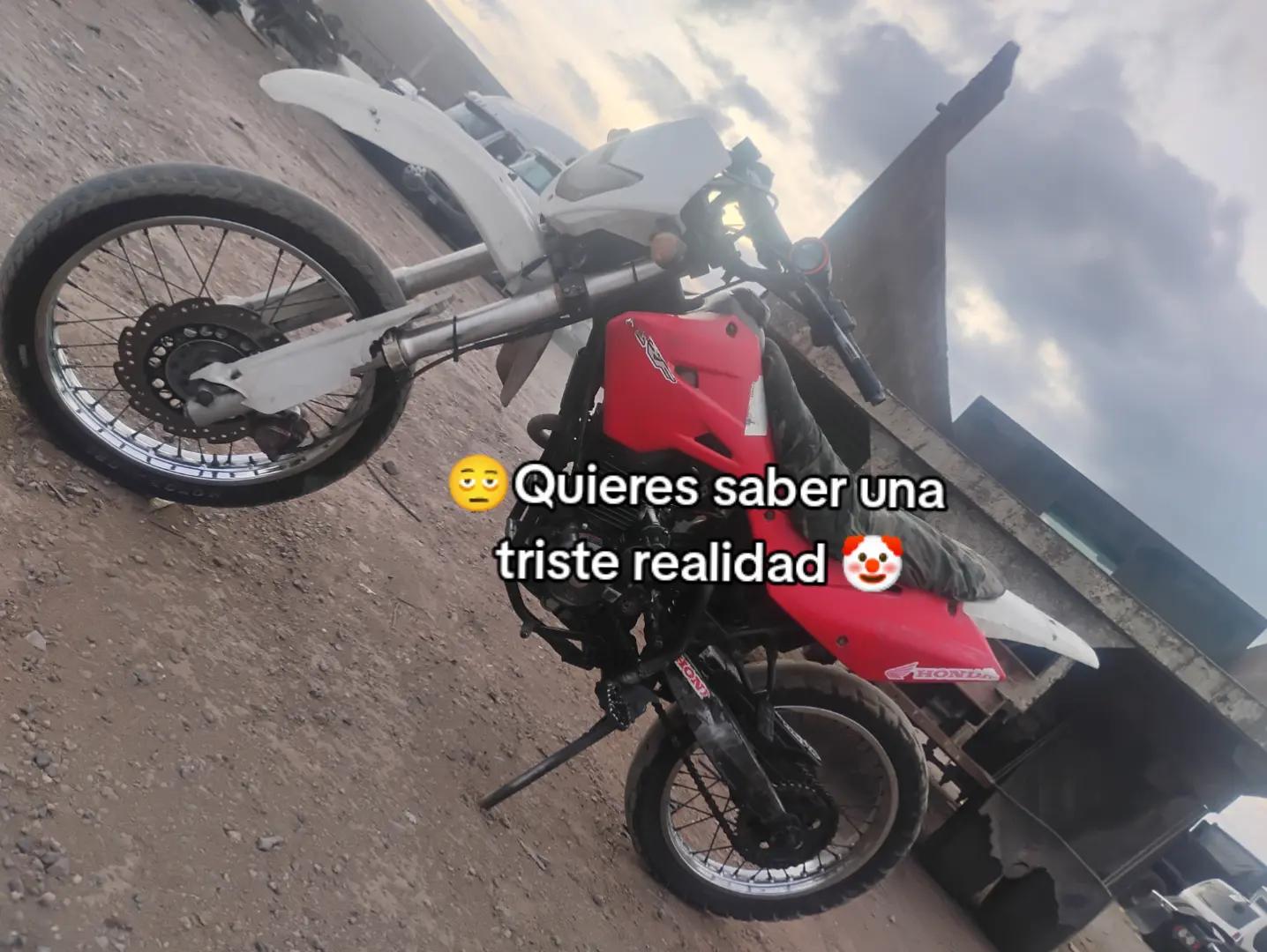 @🐓Colin 👻🫀