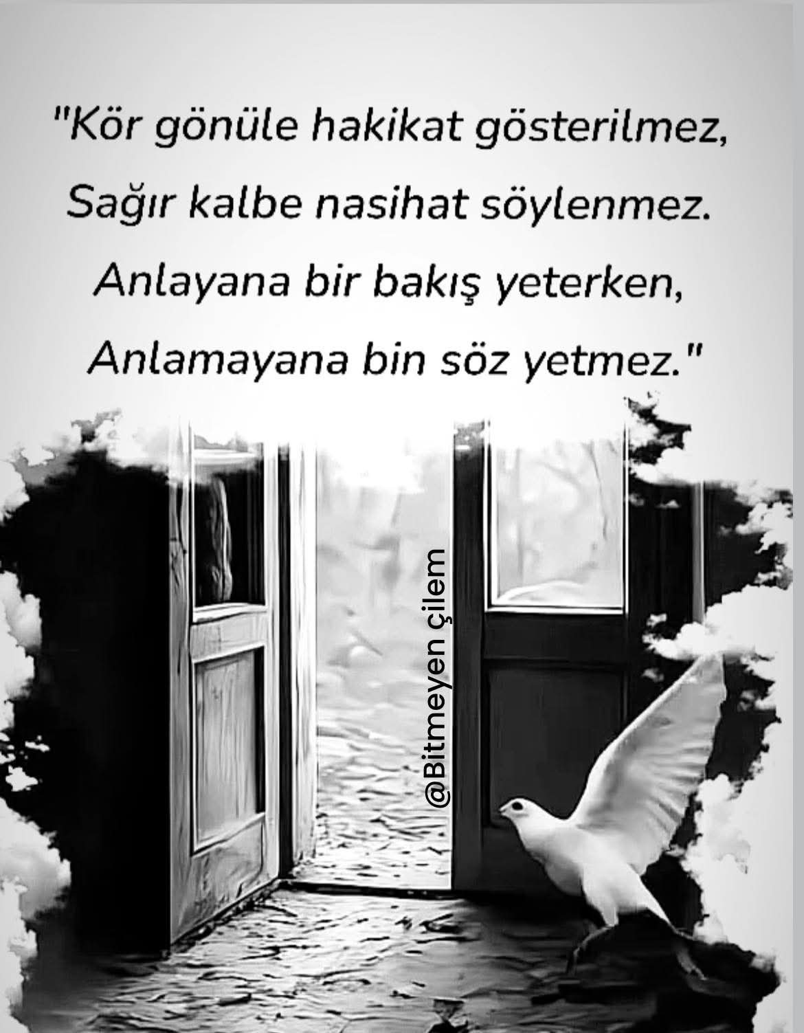 @🇹🇷 Cumhuriyet ❤️