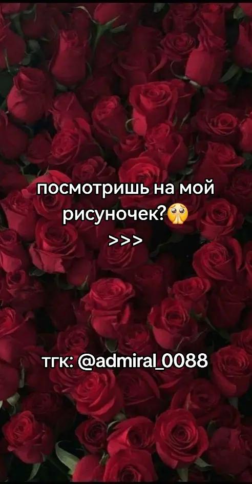 @адмирал