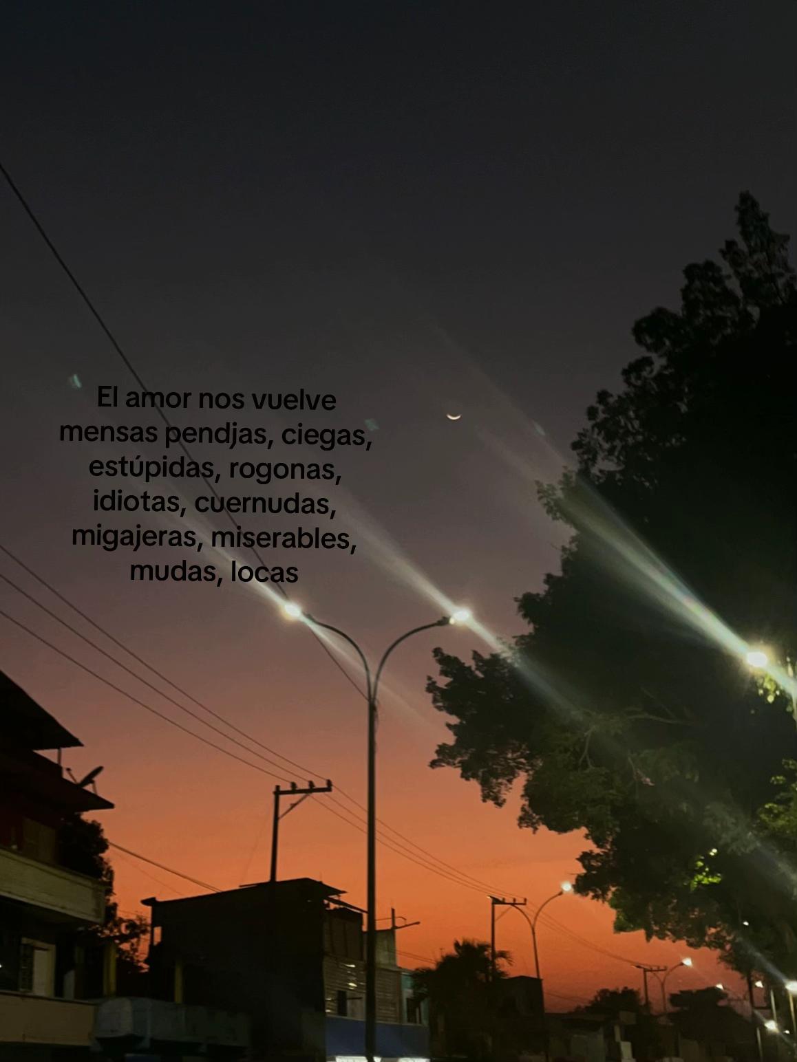 @rocio.5732