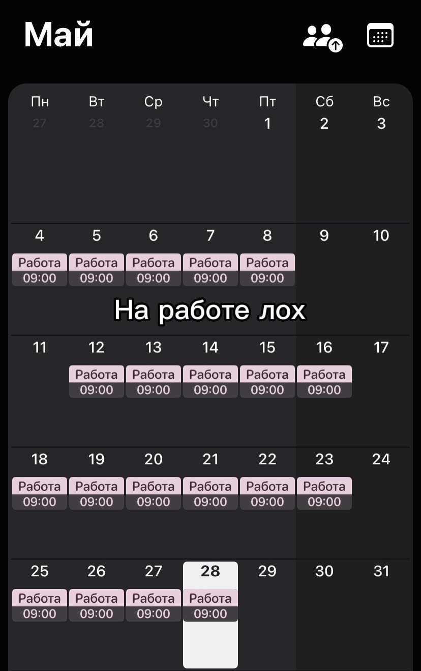 @дендро мама🌱
