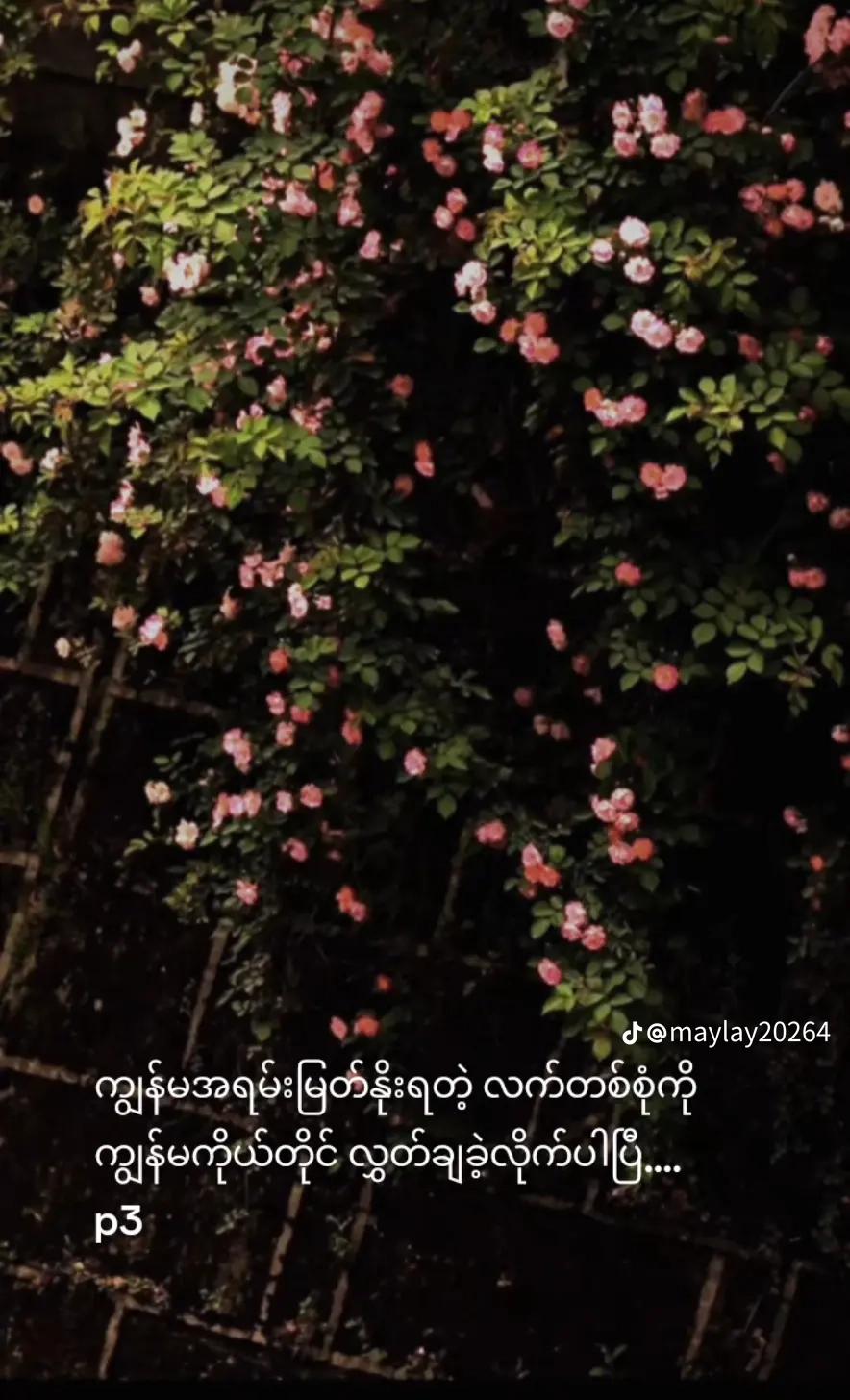 @Nyo Nyo HtWe