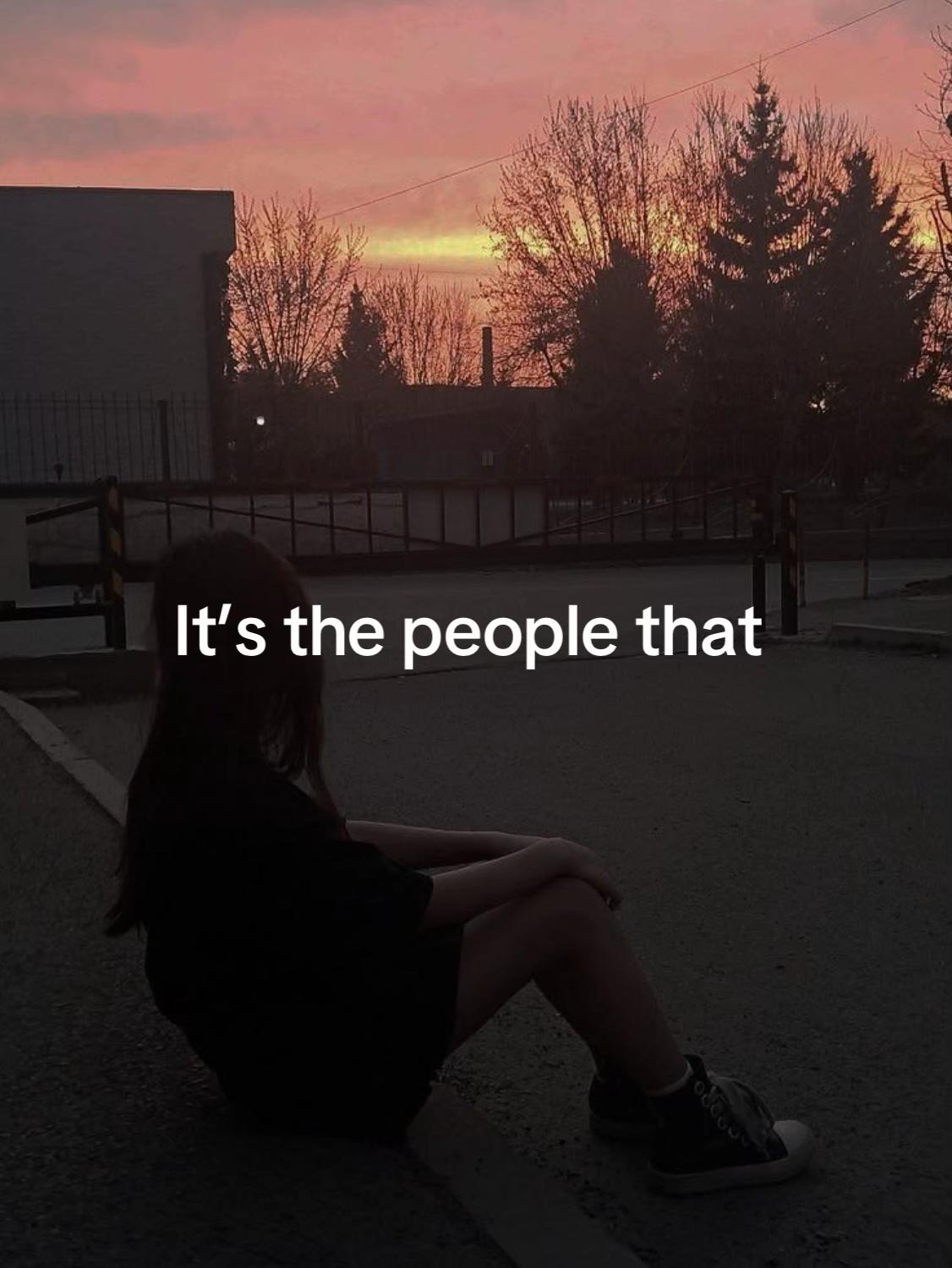 @alyssa grace alygators