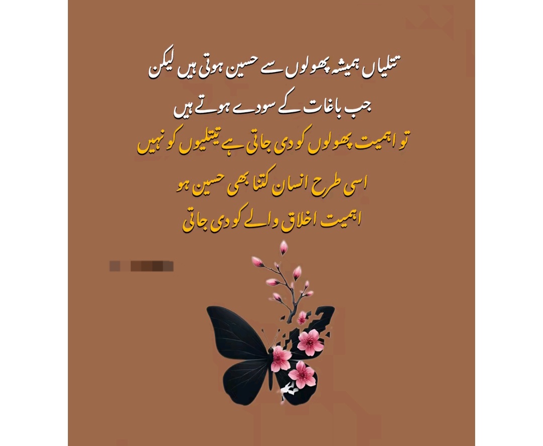 @Fariha Hassaan❤️